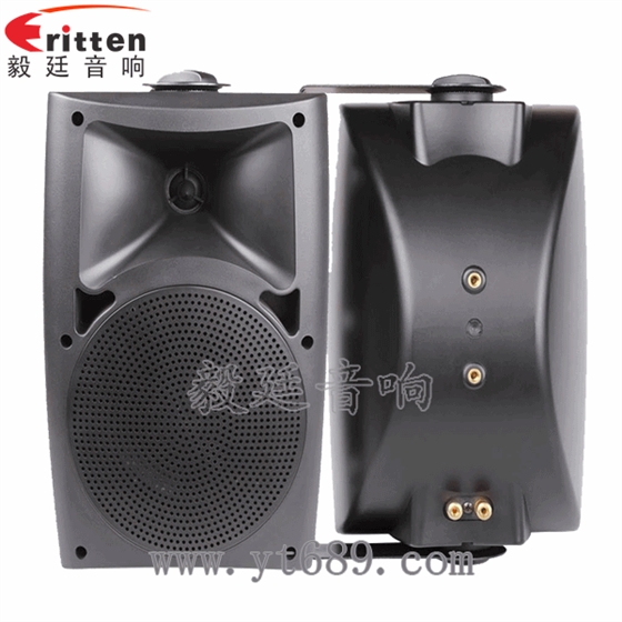 8''中低音舞臺音箱喇叭廠家正反面