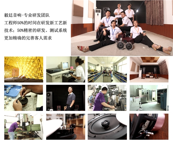 2寸全頻HIFI音箱喇叭研發(fā)團(tuán)隊(duì)