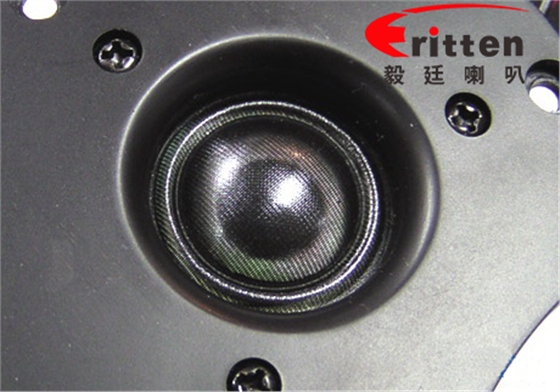 毅廷揚(yáng)聲器廠