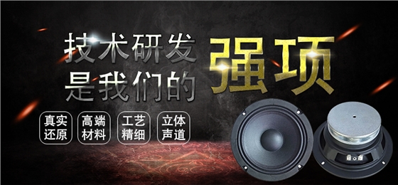 6.5寸中高音舞臺(tái)音箱喇叭