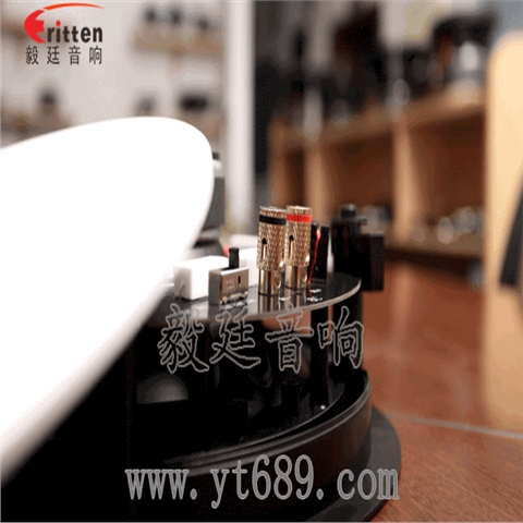 8寸天花吸頂喇叭