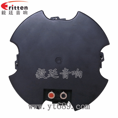 6.5寸25芯全頻同軸喇叭