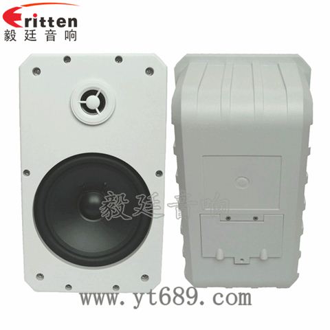 10寸20芯專(zhuān)業(yè)音箱喇叭