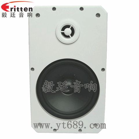 10寸20芯專(zhuān)業(yè)音箱喇叭