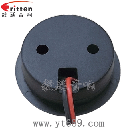 2寸20W25芯高音喇叭