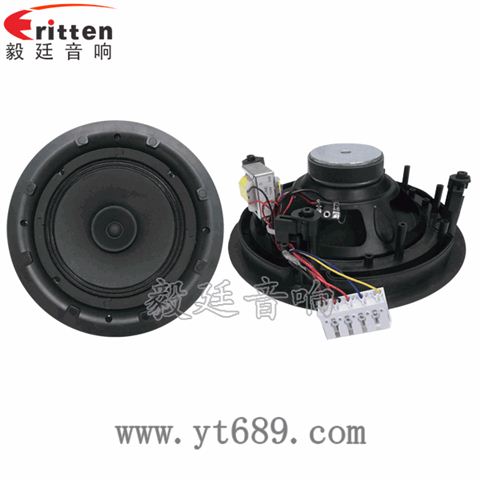 8寸25芯全頻喇叭