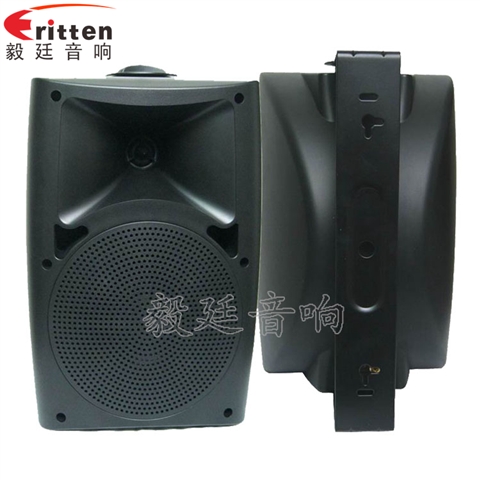 6.5寸墻壁音箱喇叭
