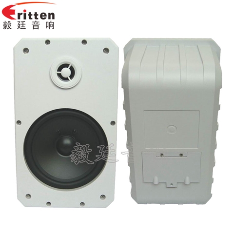 10寸專業(yè)音箱喇叭