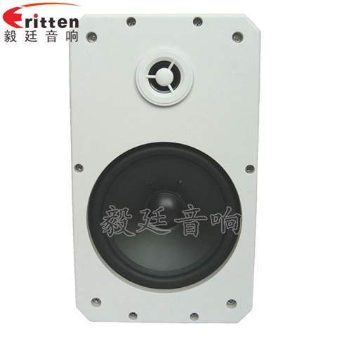 10寸專業(yè)音箱喇叭