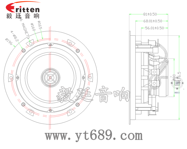 5.25寸天花揚(yáng)聲器成品圖