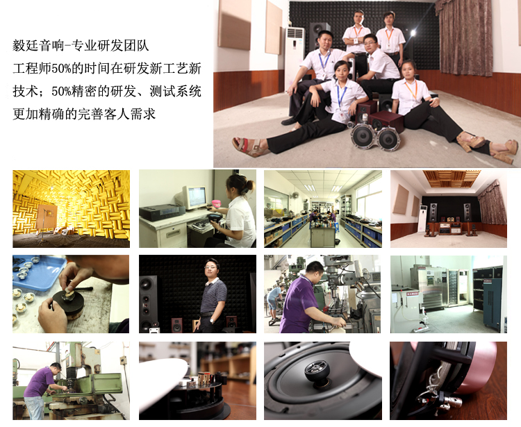 12寸300W汽車(chē)音響喇叭 12寸300W汽車(chē)音響喇叭