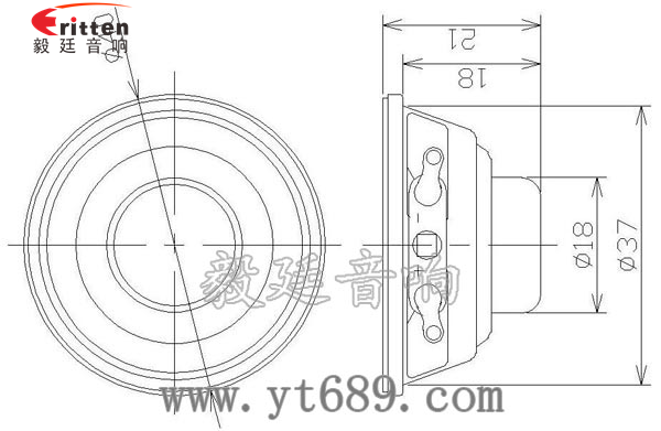 40mm13芯2瓦小喇叭成品圖