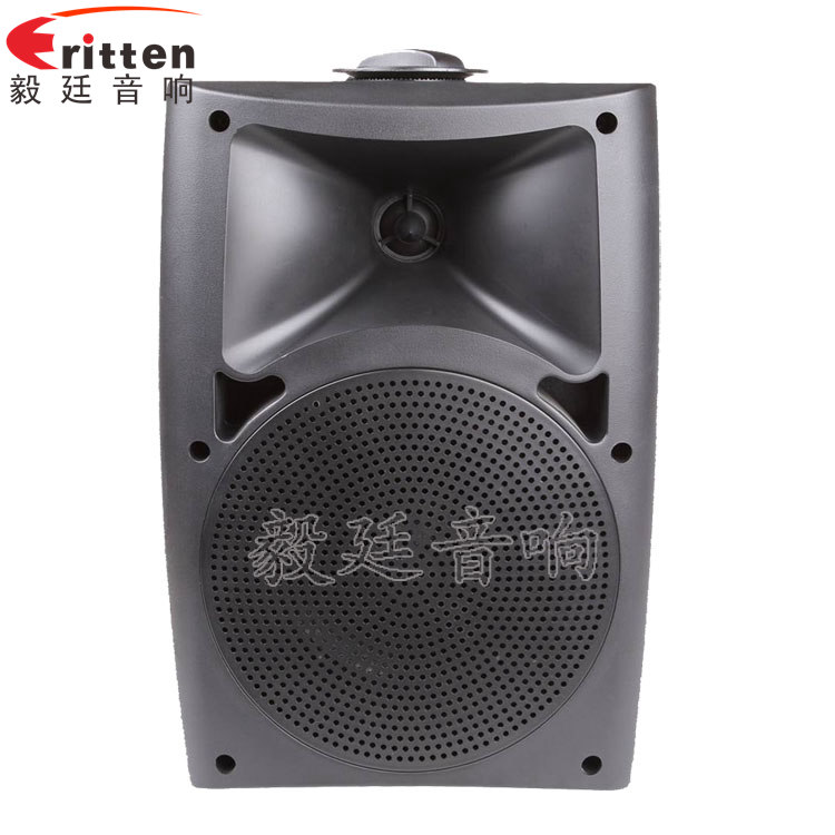 8''中低音舞臺音箱喇叭廠家正面圖