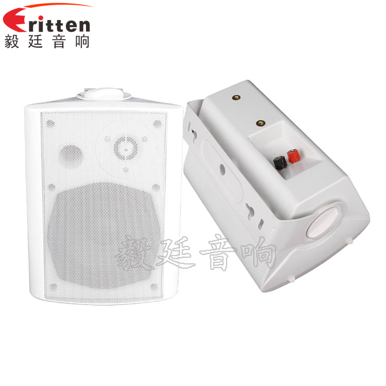 8''中低音舞臺(tái)音箱喇叭廠家正反面