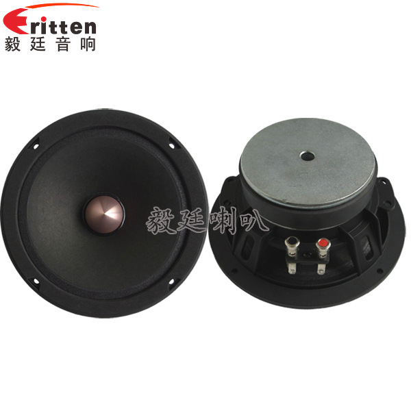 8''中低音舞臺音箱喇叭廠家正反面