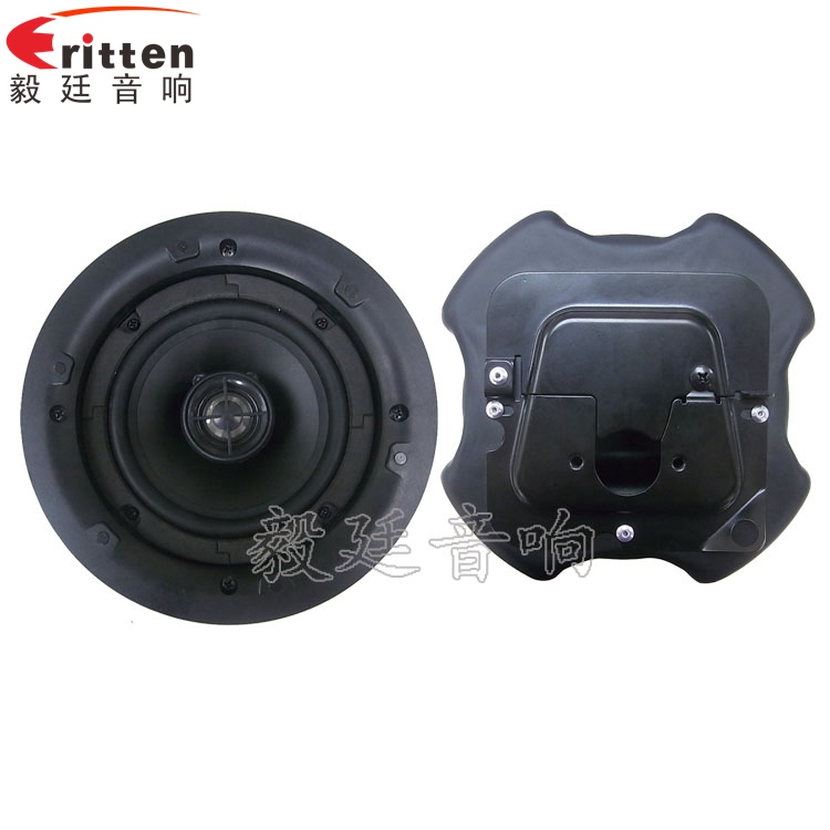 8''250w 重低音喇叭正反面