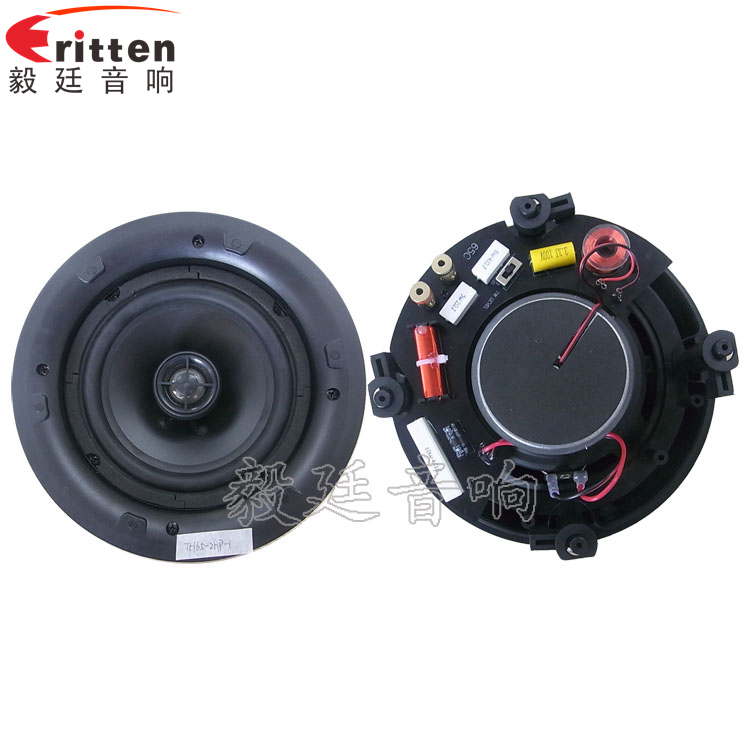 8''250w 重低音喇叭正反面