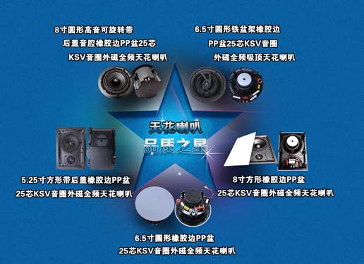 天花音響喇叭分類(lèi)圖